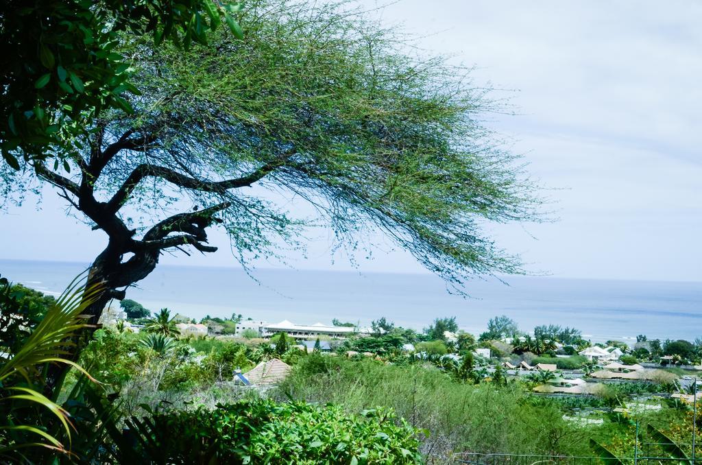Flamboyant Ocean View - Ex Hillside Haven Διαμέρισμα Tamarin Δωμάτιο φωτογραφία